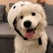 Osama Siddiqui avatar